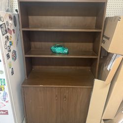 Vintage Book Case/Vinyl storage