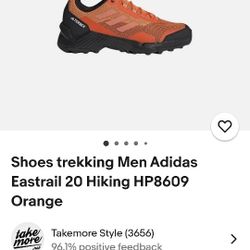 Men's Terrex Eastrail Hiking shoes 
