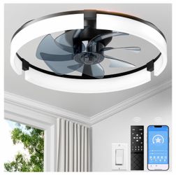 Ceiling Fans with Lights and Remote 20 Inch New