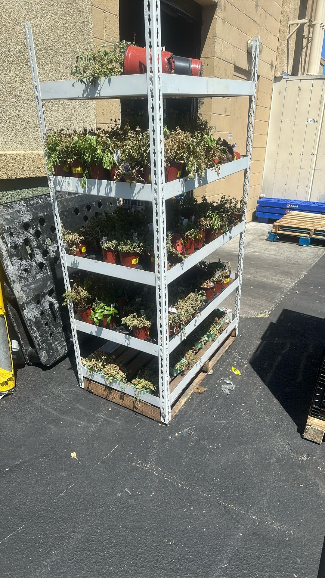Shelves