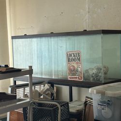Fish Tanks $200 Up Includes Stand And Filters