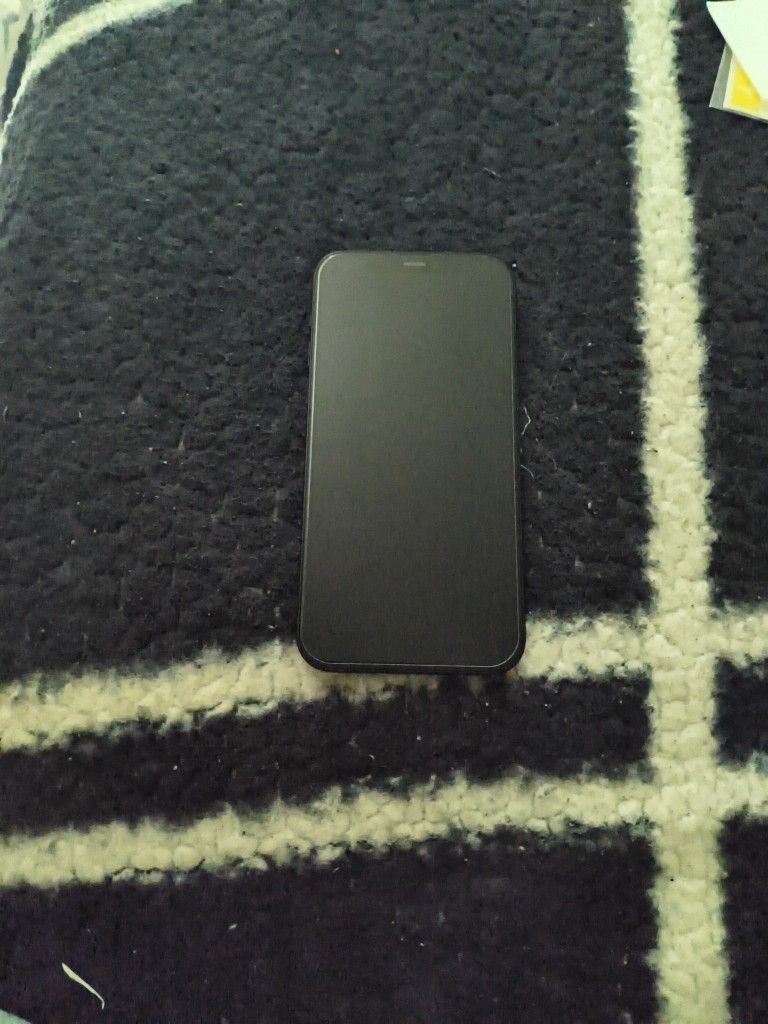 iPhone 12