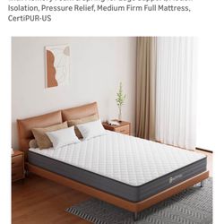 Full Bed, Topper, & Boxspring