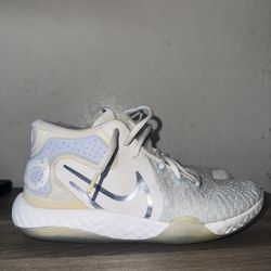 Kd 5 White Royal Tint 