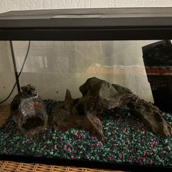 10 Gallon Fish Tank