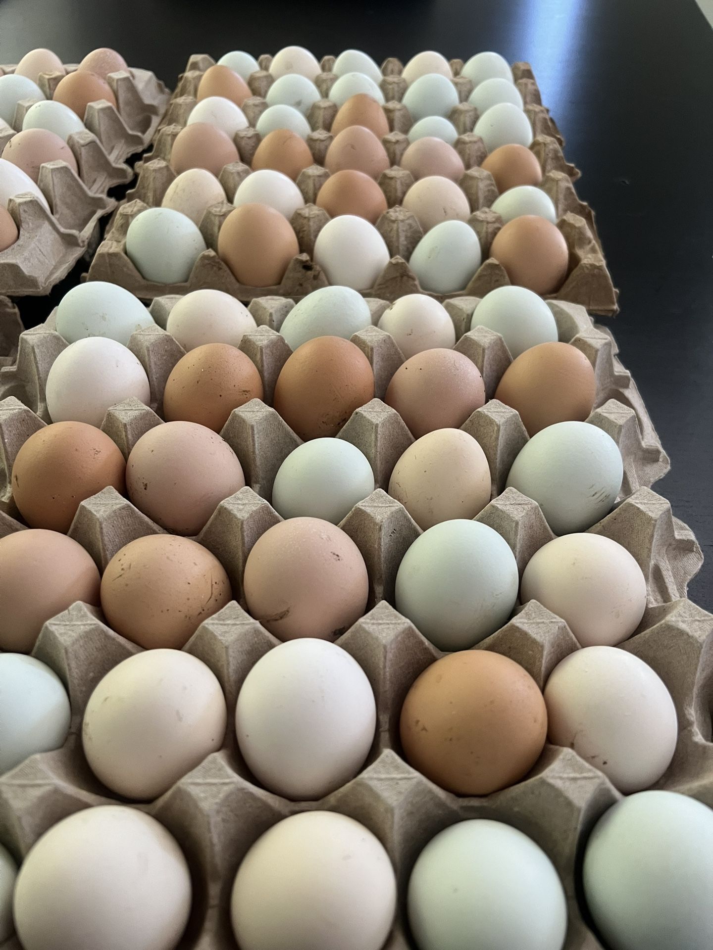 Eggs