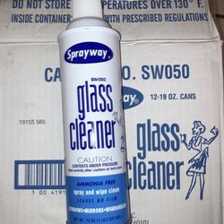 Sprayway Glass Cleaner, 20 oz. can, 1 Count