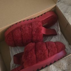 Ugg Slippers
