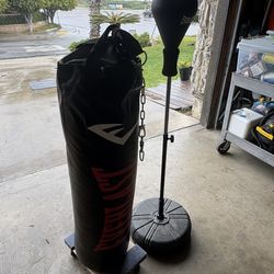 Boxing Punching Backs