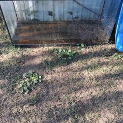 Aquarium / Terrarium 