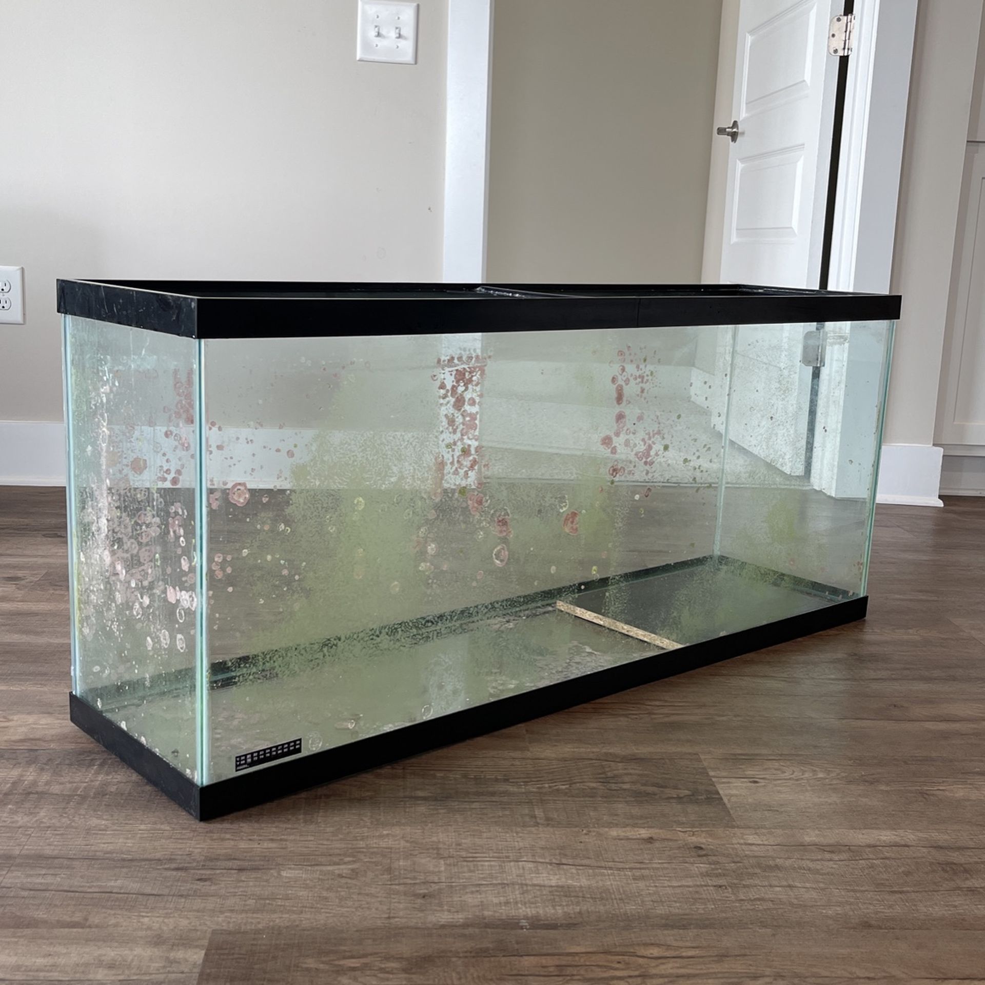 55 Gallon Aquarium 