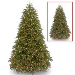 10 ft. Jersey Fraser Fir Medium Tree wit h Dual Col