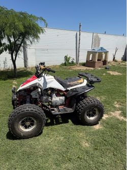 Quads