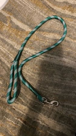 Brand new dog leash