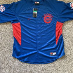 RARE Authentic Vintage Chicago Cubs Sewn Nike