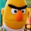 Bert
