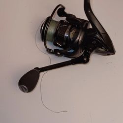Eagle Claw Wright And Mcgill Victory Carbon Spinning Reel