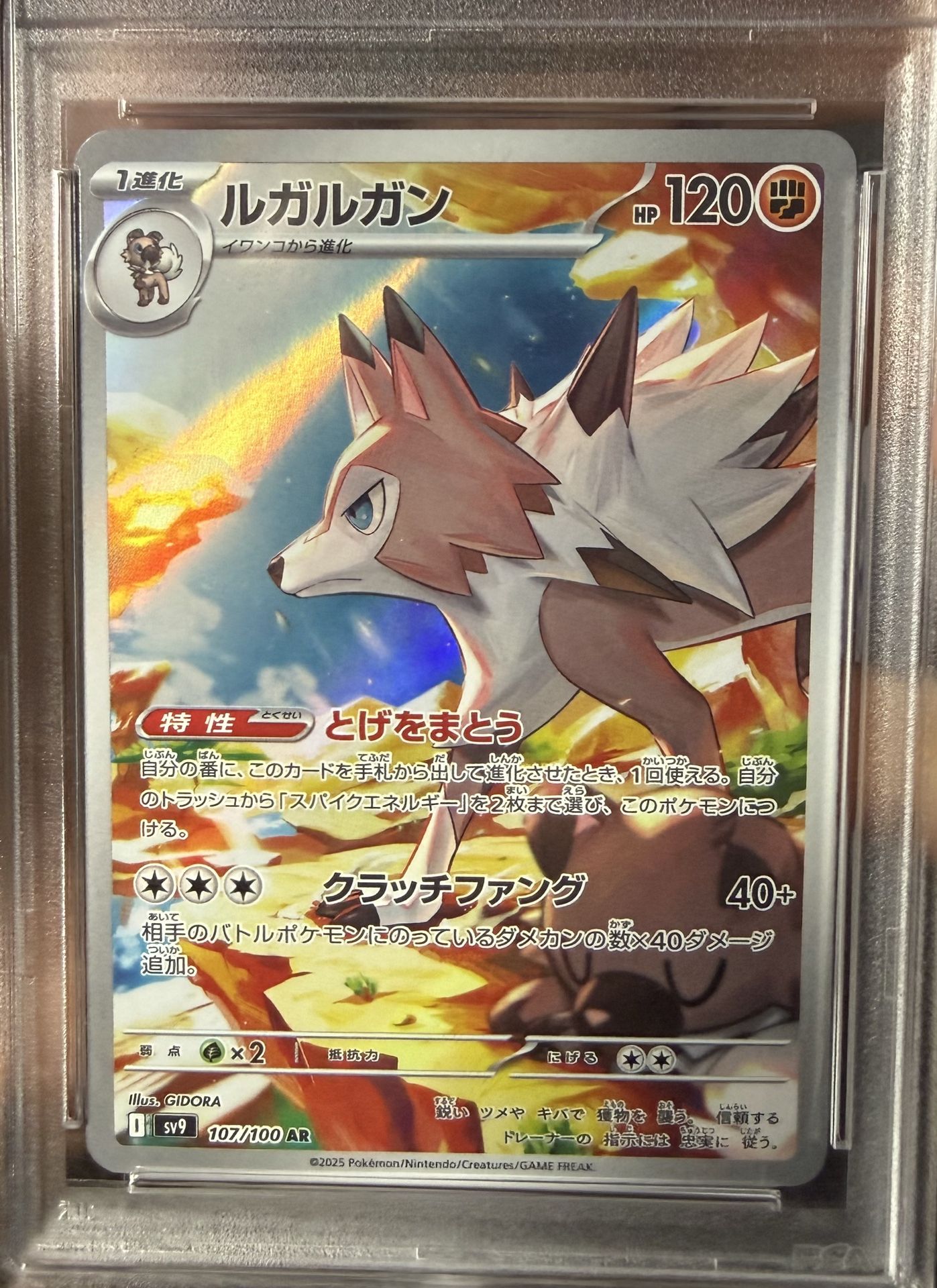 PSA 10 Pokemon lycanroc JP