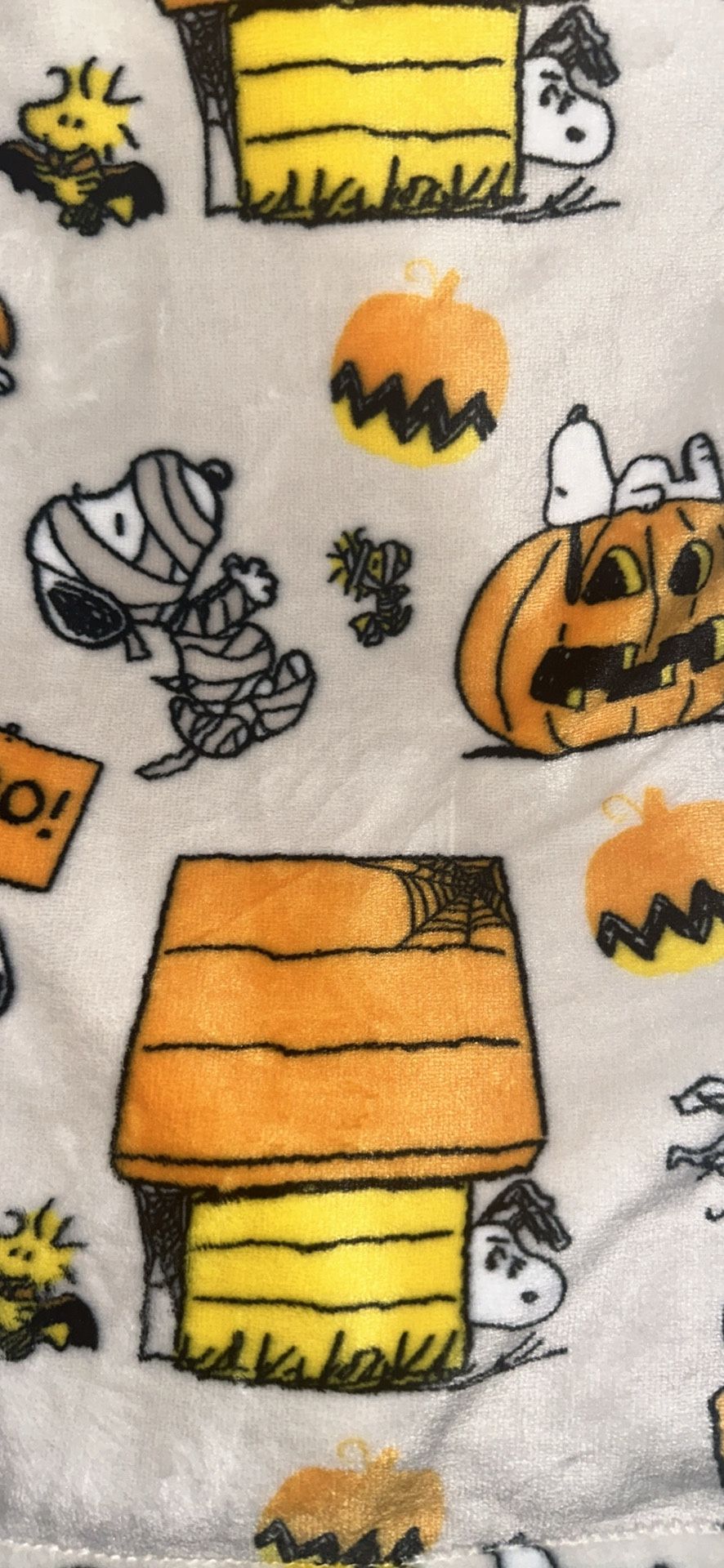 Snoopy Halloween Blanket