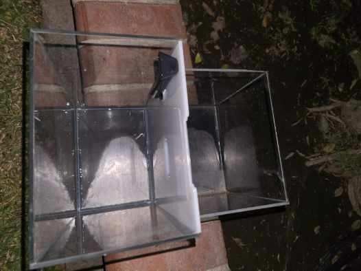 Fish Tank Divider