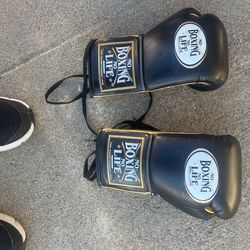 Boxing gloves