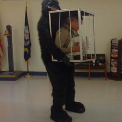 Gorilla Costume 