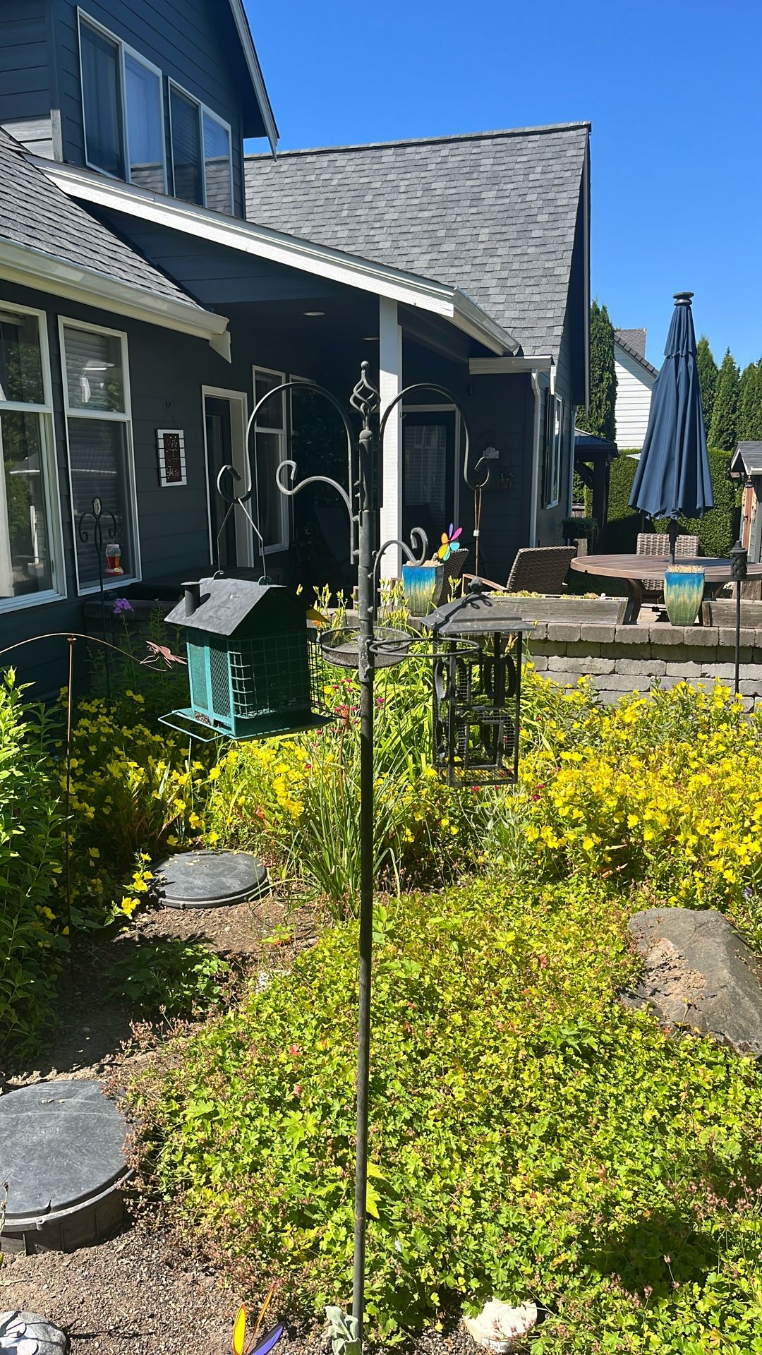 Bird Feeder Set