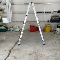 Werner Ladder 