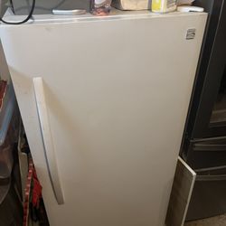 Stand Up Deep Freezer