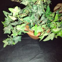 Artificial Plant