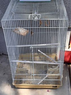 Medium size bird cage