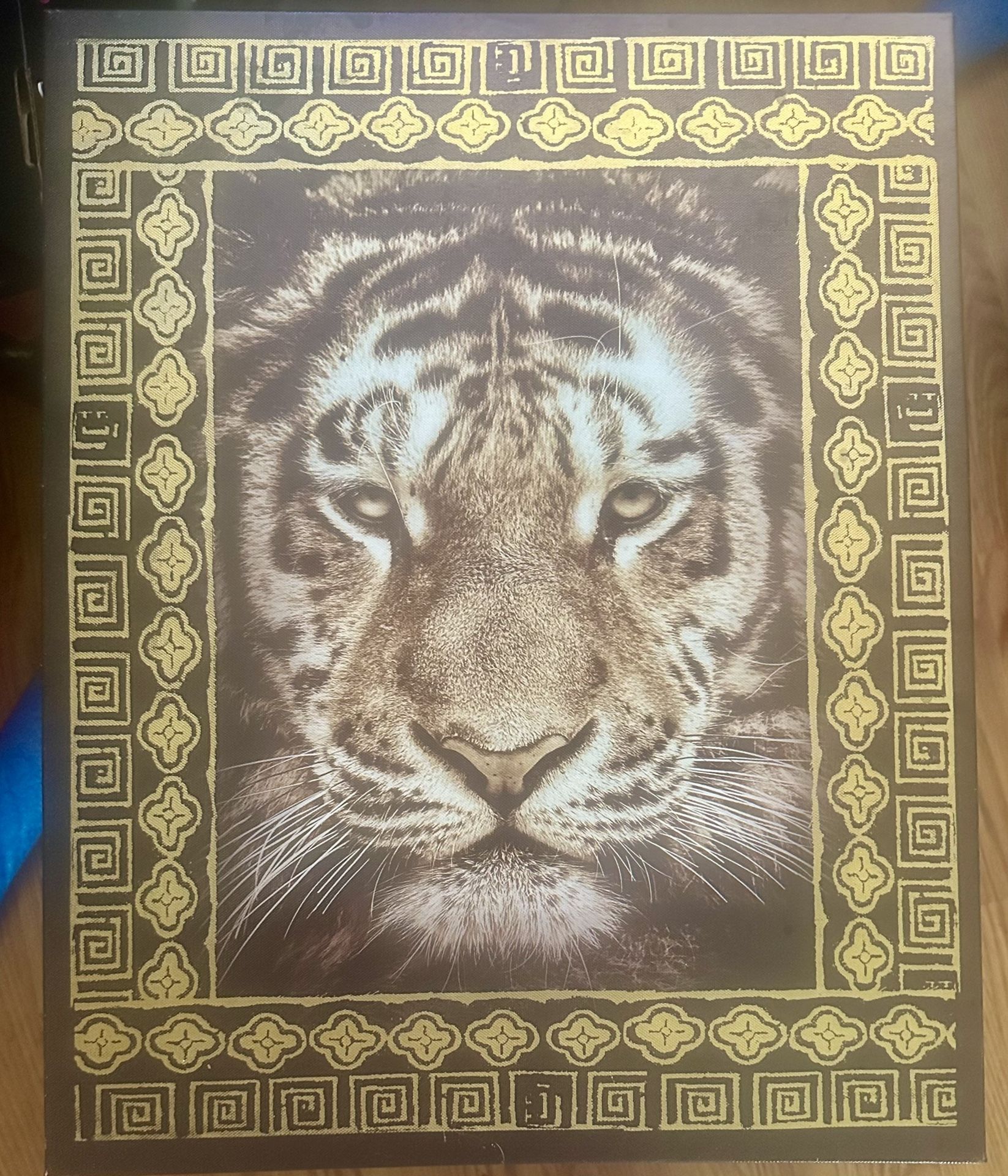 Tiger Photo