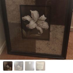 Wall Framed Pictures 