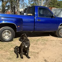 1993 Chevrolet C/K 3500