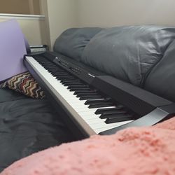 Alesis Prestige Artist