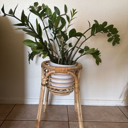 Rattan Planter Stand