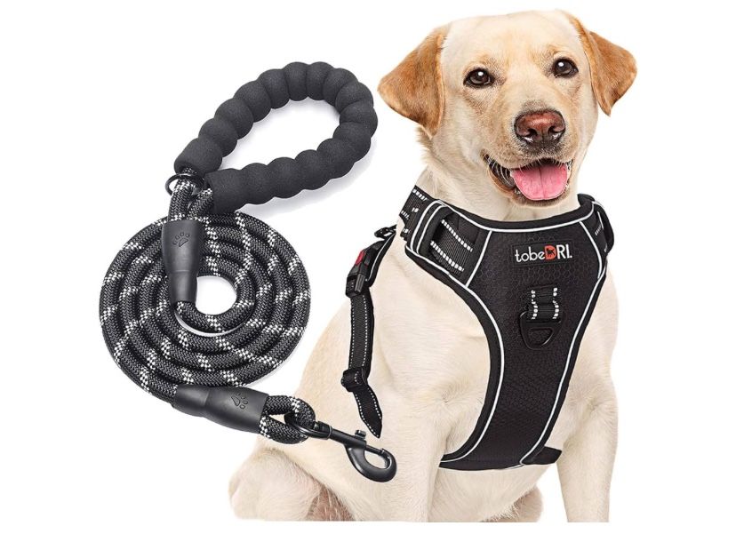Large Dog Harness And Leash