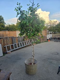7.5 ft artificial tree