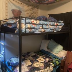 New Bunk Beds   Great Condition  135 Negotiable 