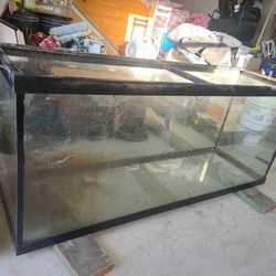 Fish Tank 125 Gallon