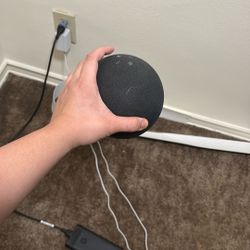 Amazon Echo 4th generation