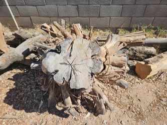 Stumps and wood