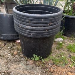 25 Gallon Containers