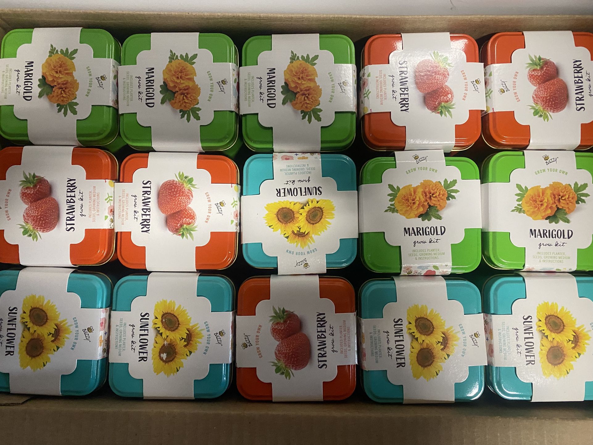 Vacuum, Strawberry Grow Kit, LED Panel And Jump Ropes Bundle