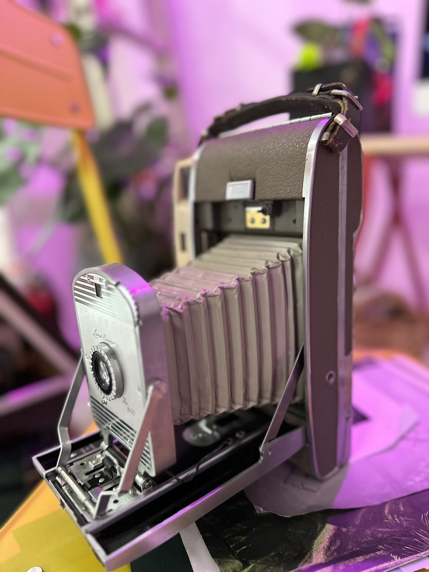 Vintage Polaroid Land Camera 800