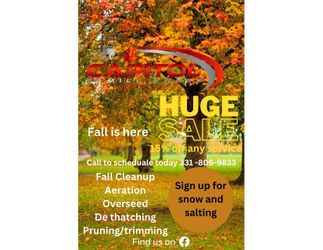 Fall/leaf Cleanup