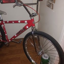 Throne 29er Polka Berry
