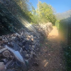 Fire Wood 