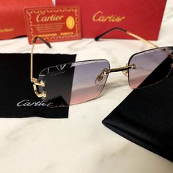Cartier Diamondcut Big C Decor Magenta Tint Sunglasses 