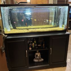 55-gallons Fish Tank